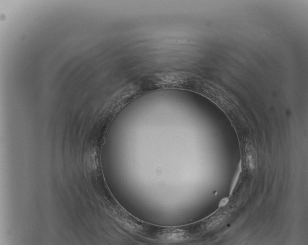 X0000068830514200605121344