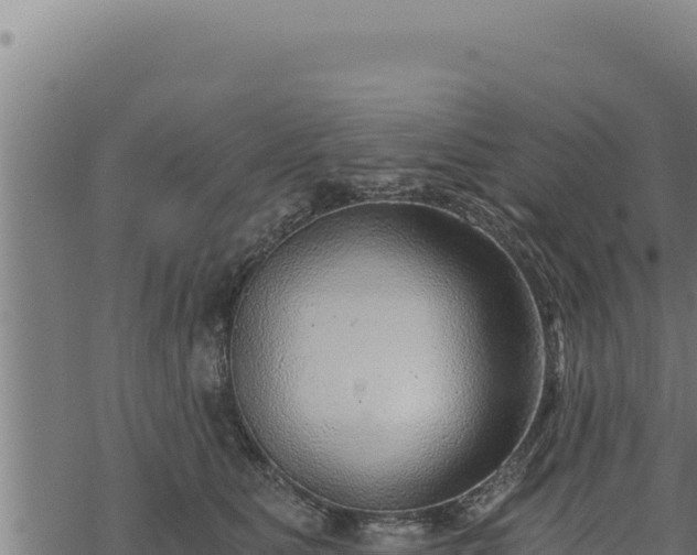 X0000068830515200605121344