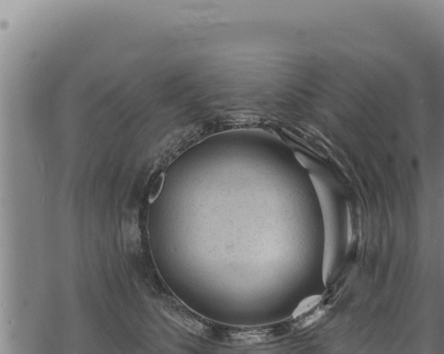 X0000068830516200605121344