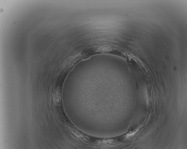 X0000068830517200605121344