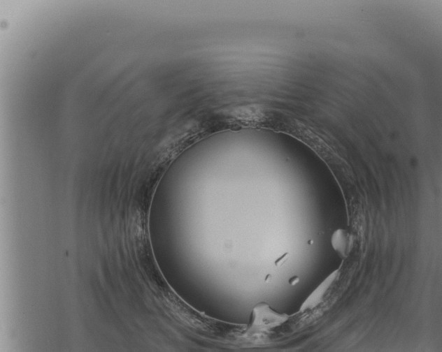 X0000068830518200605121344