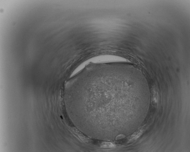 X0000068830519200605121344