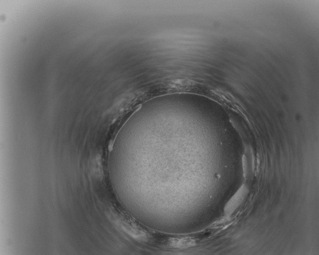 X0000068830520200605121344