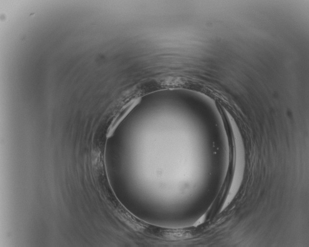 X0000068830521200605121344