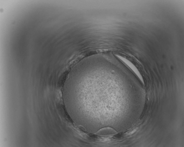 X0000068830523200605121344