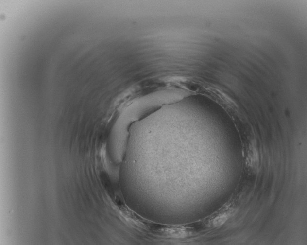 X0000068830524200605121344