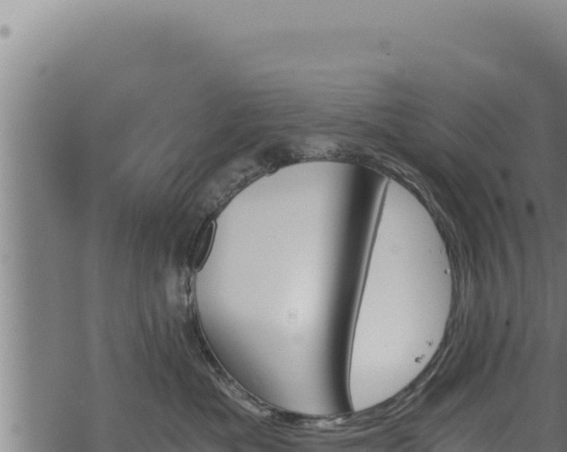 X0000068830525200605121344