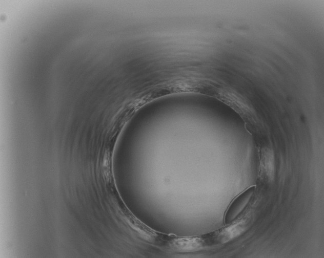 X0000068830526200605121344