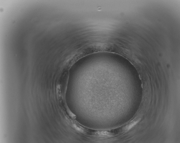 X0000068830528200605121344