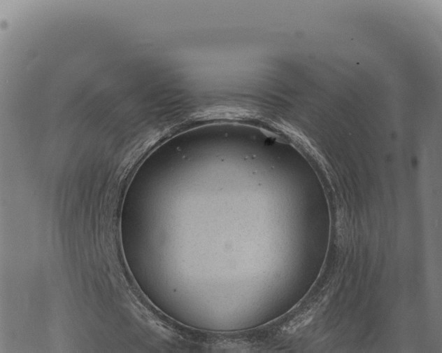 X0000068830529200605121343