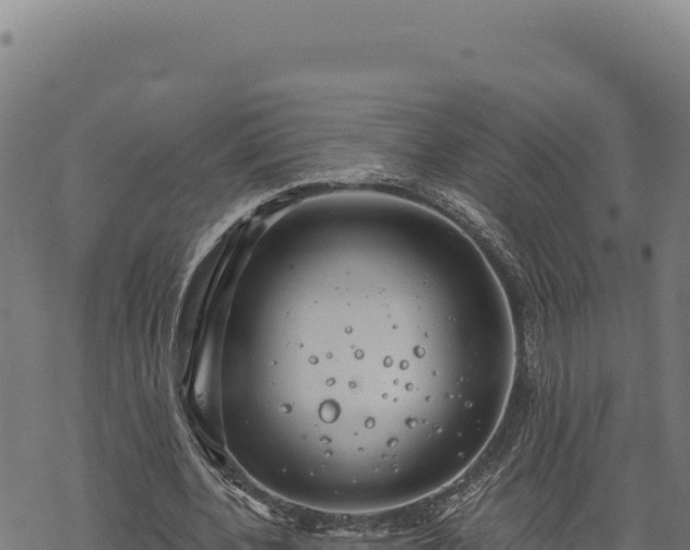 X0000068830532200605121343