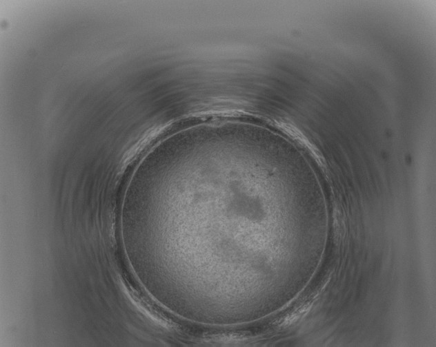 X0000068830533200605121343