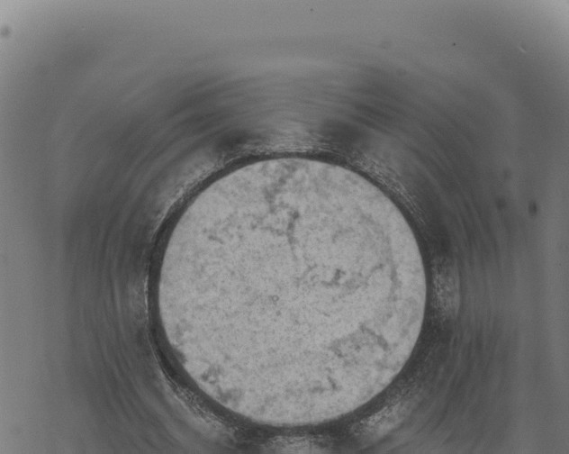 X0000068830534200605121343