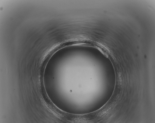 X0000068830535200605121343