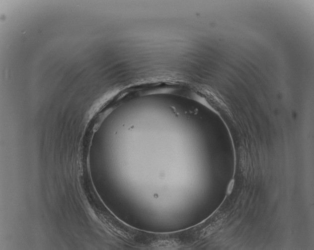 X0000068830536200605121344