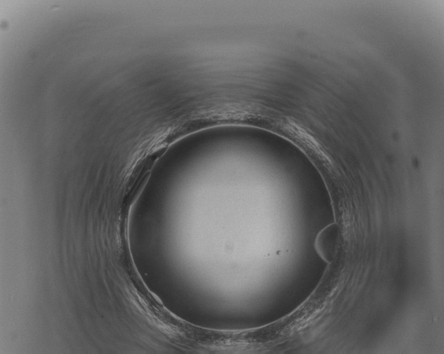 X0000068830537200605121344