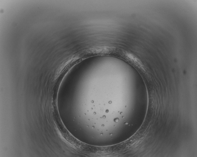 X0000068830538200605121344