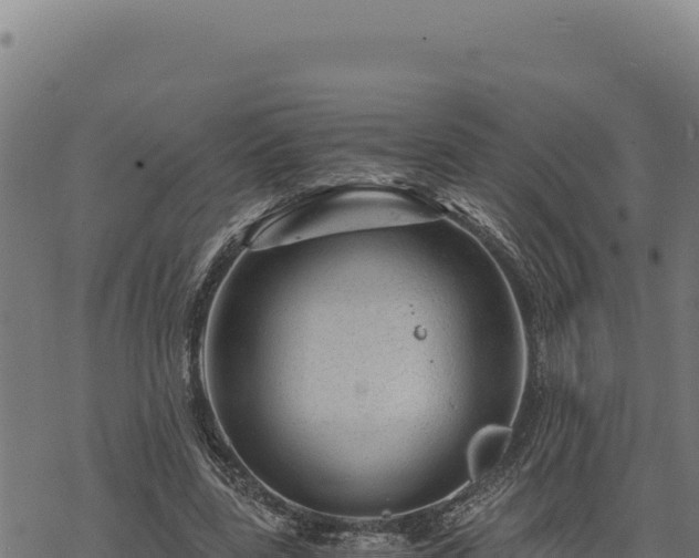 X0000068830539200605121344