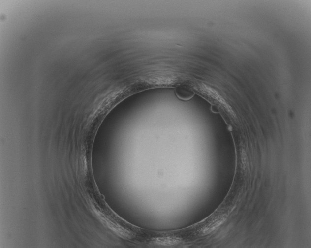 X0000068830541200605121344