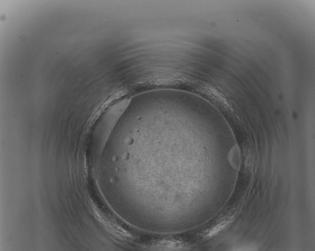 X0000068830542200605121344