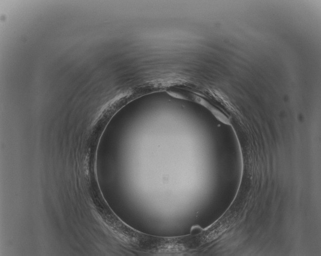 X0000068830543200605121344