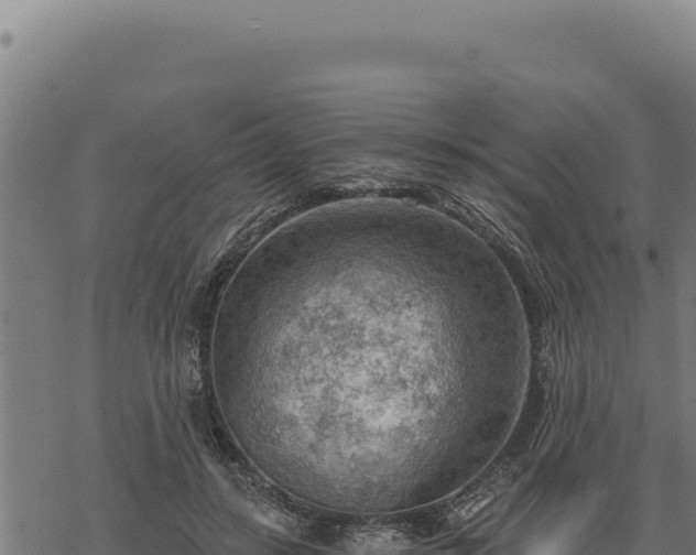 X0000068830547200605121344