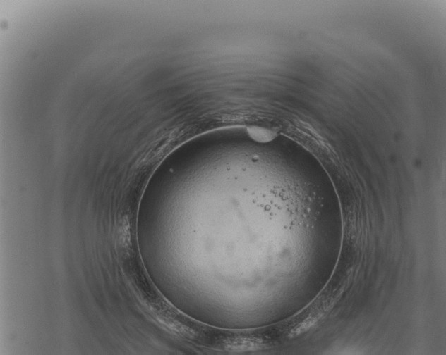 X0000068830549200605121344