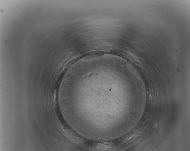 X0000068830550200605121344