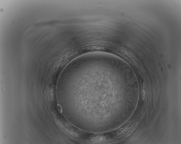 X0000068830551200605121344