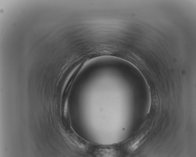 X0000068830552200605121344