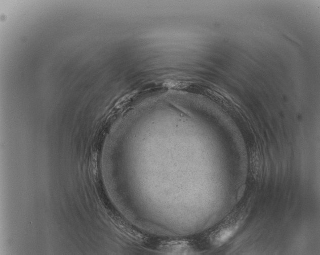 X0000068830554200605121344