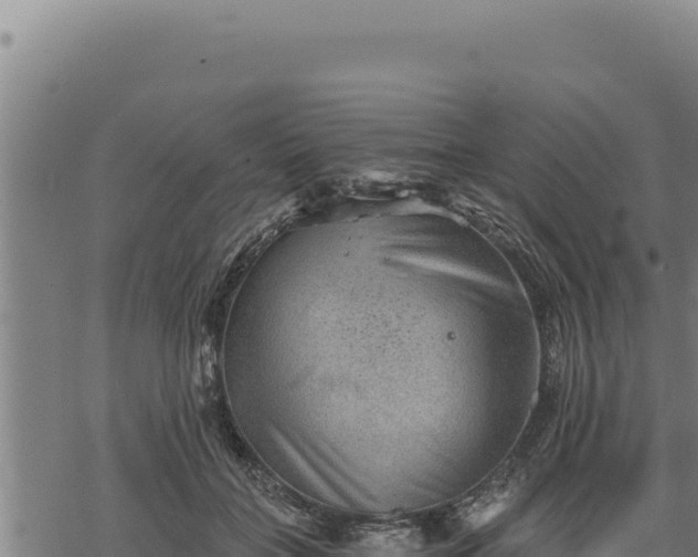 X0000068830555200605121344