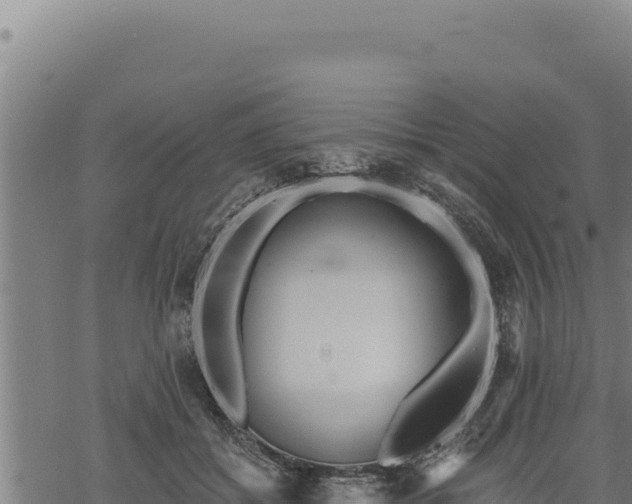 X0000068830556200605121344