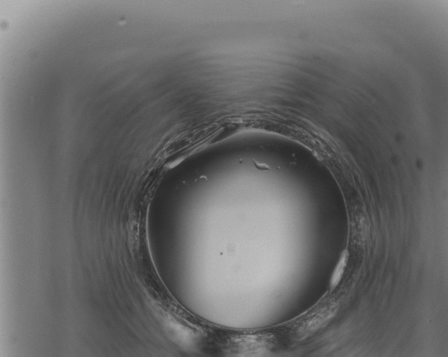 X0000068830558200605121344