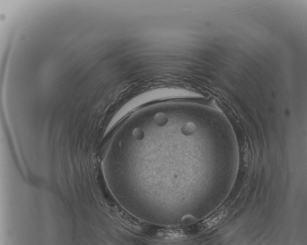 X0000068830559200605121344