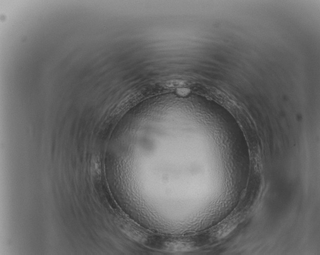 X0000068830561200605121344