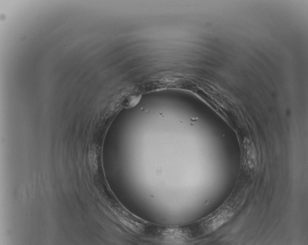 X0000068830562200605121344