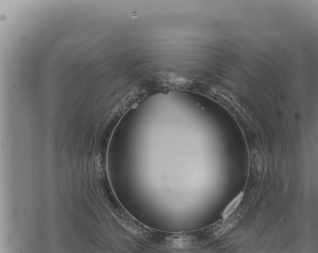 X0000068830564200605121344