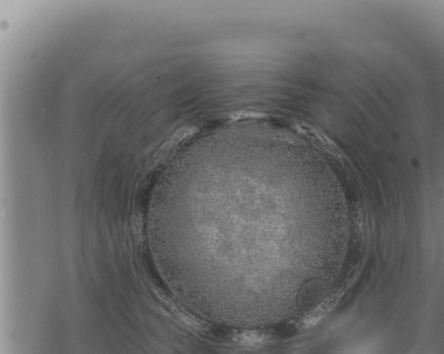 X0000068830565200605121344