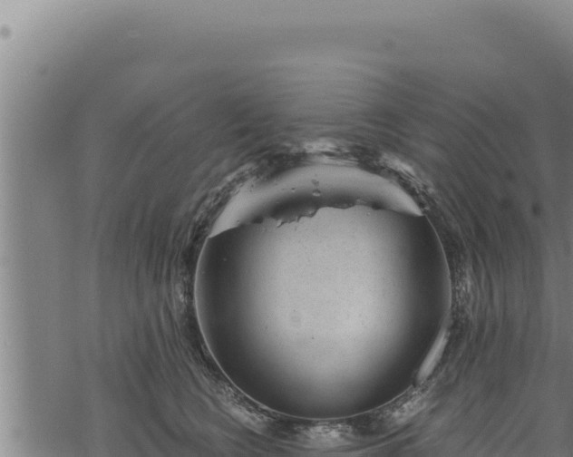 X0000068830566200605121344