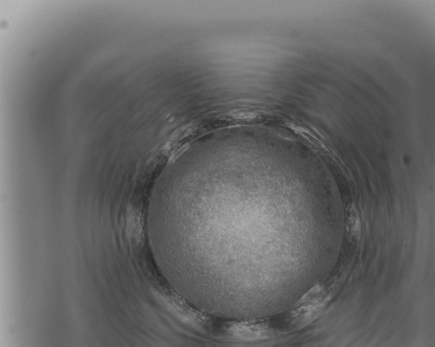 X0000068830568200605121344