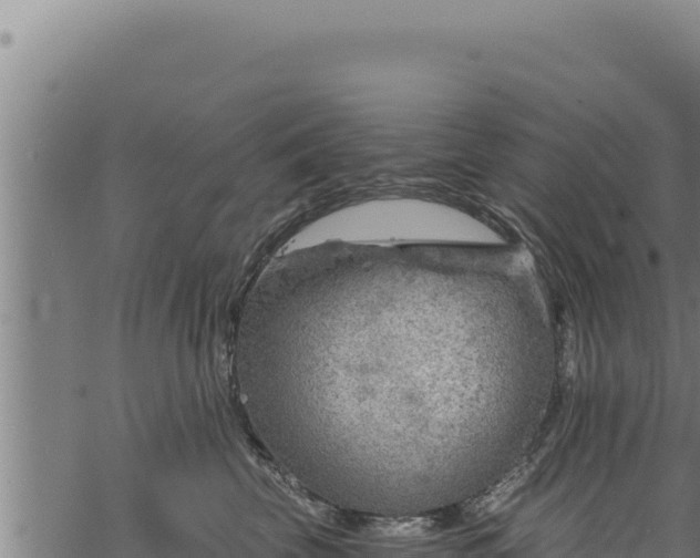 X0000068830569200605121344