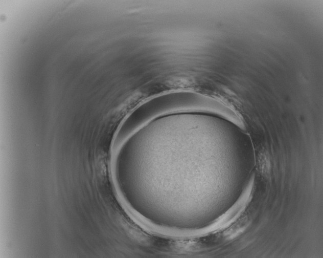 X0000068830570200605121344