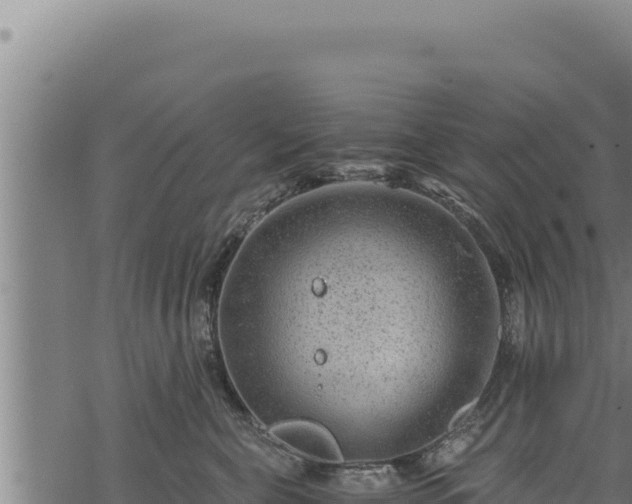 X0000068830571200605121344