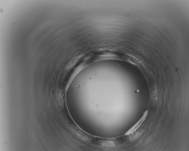 X0000068830572200605121344