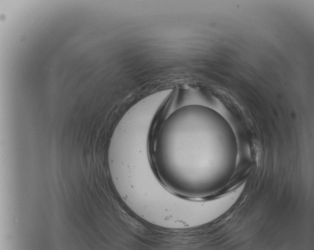 X0000068830574200605121344