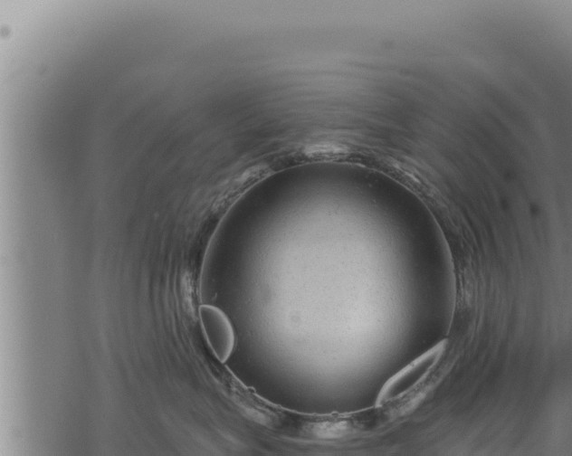 X0000068830575200605121344