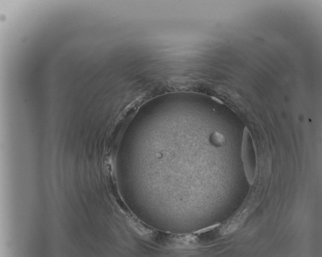 X0000068830576200605121344