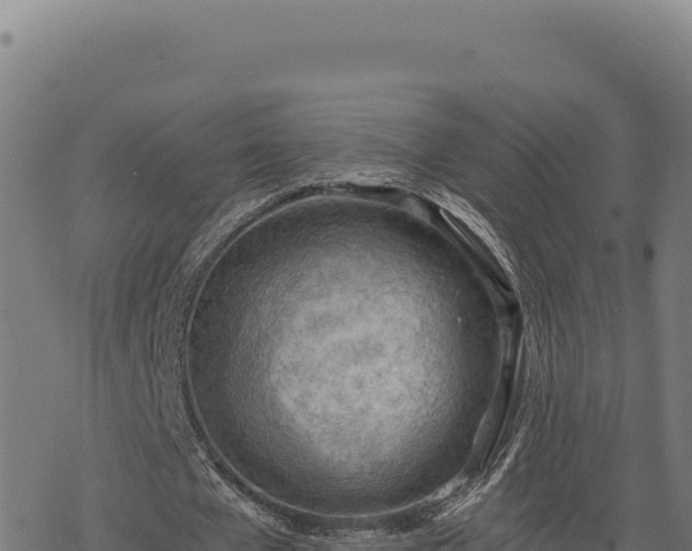 X0000068830577200605121343