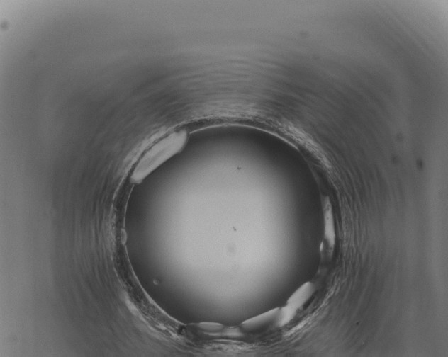 X0000068830580200605121343